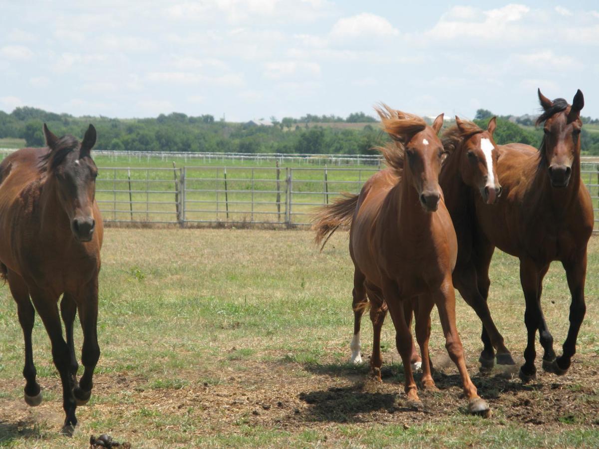 Agriturismo Monsereno Horses Imbersago Bagian luar foto